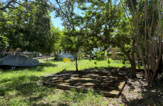 image4