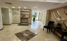 image12