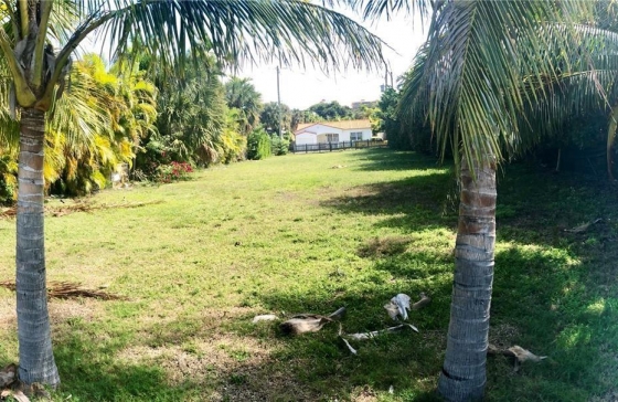 image6
