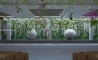 image22