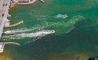 image8