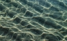 image36