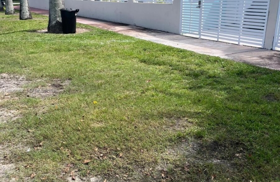 image9