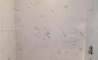 image31