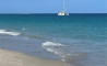 image11