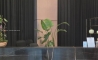 image30
