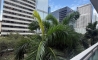 image11