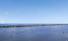 image11