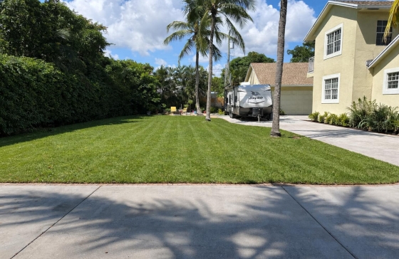 image4