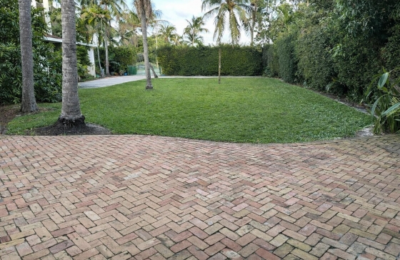 image7