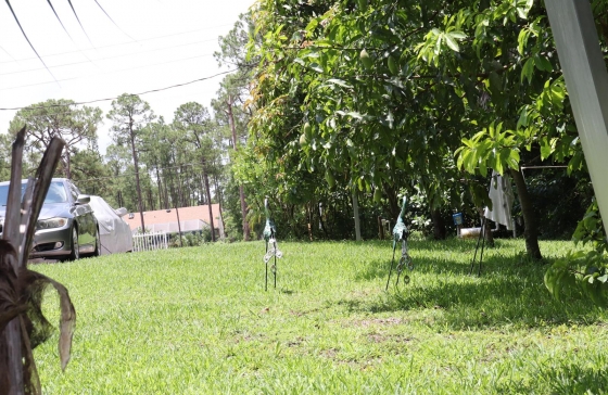 image80