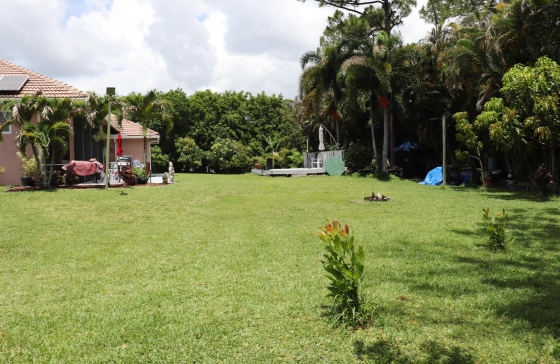 image87