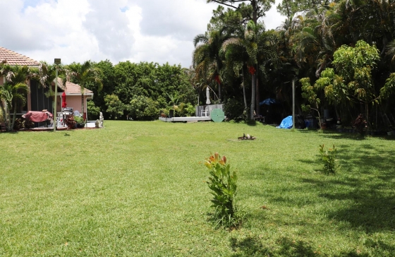 image88