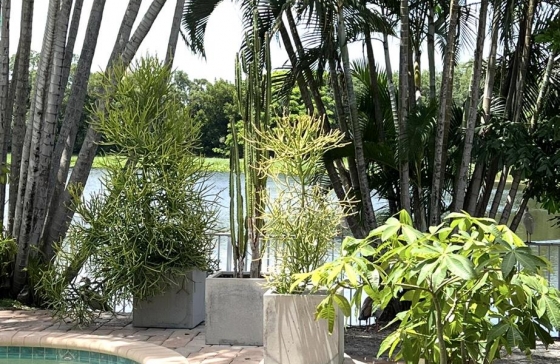 image20