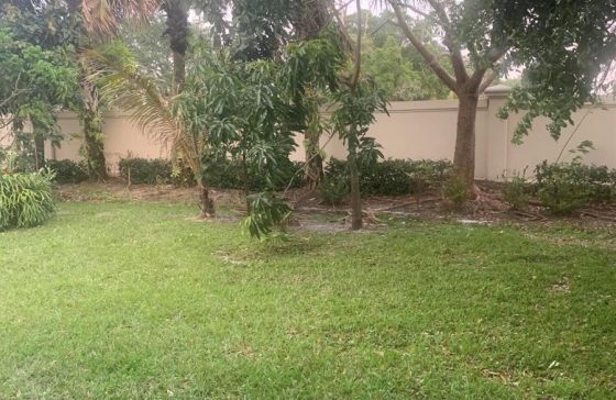 image18