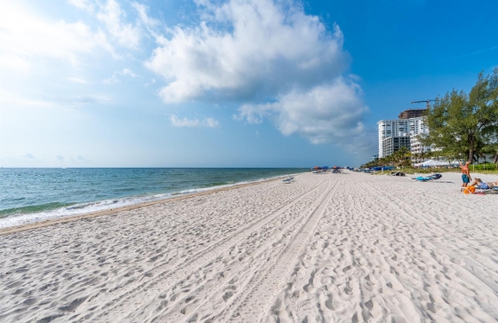 image46