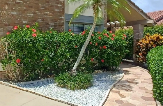 image6
