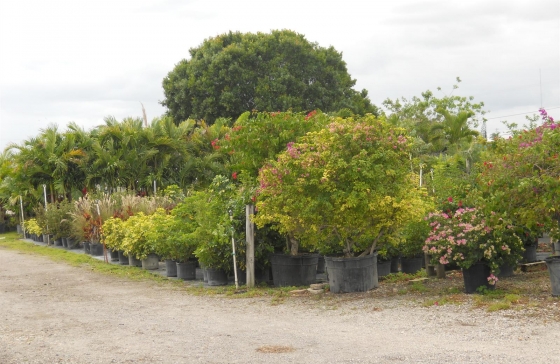 image0