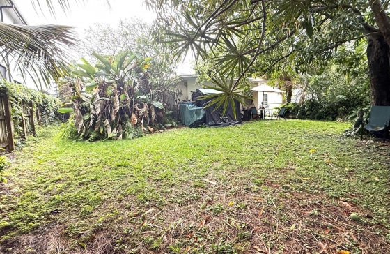 image6
