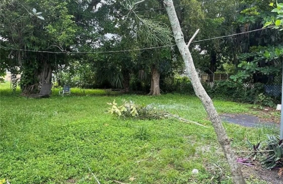 image7