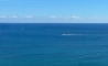 image37