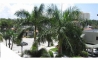 image10