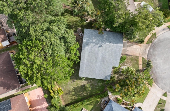 image31