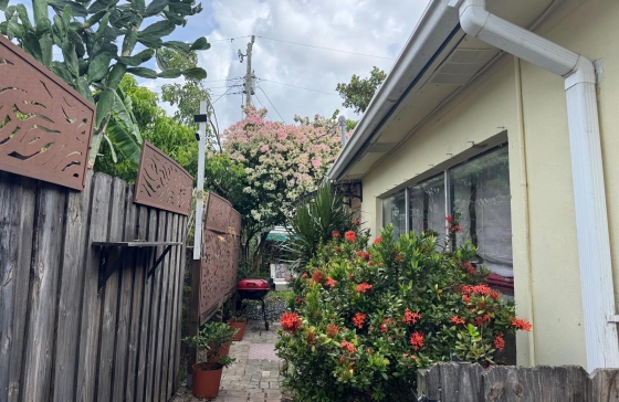 image28