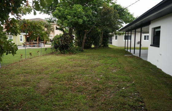 image28