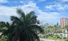image11