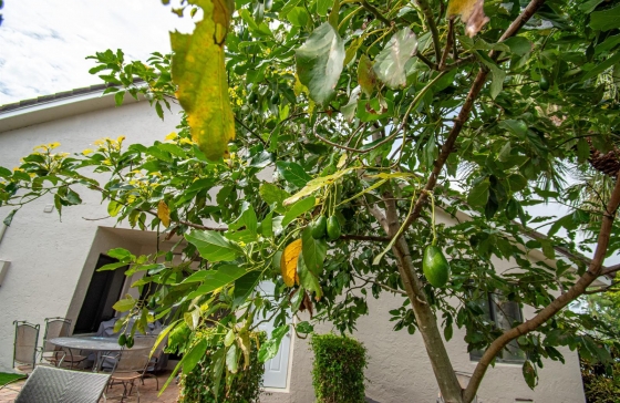image15