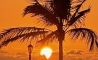 image50