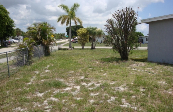 image23