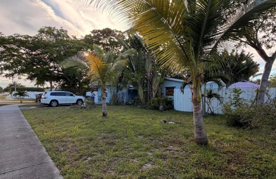 image13