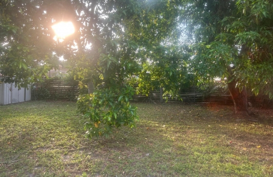 image19