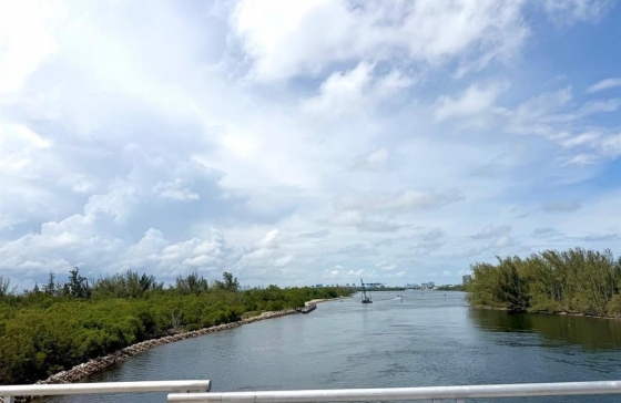 image61