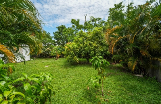 image10