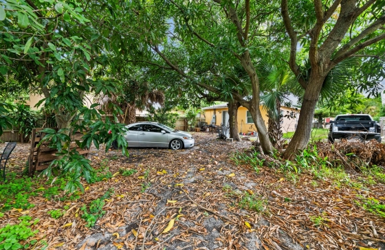 image5