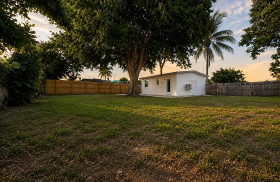 image10