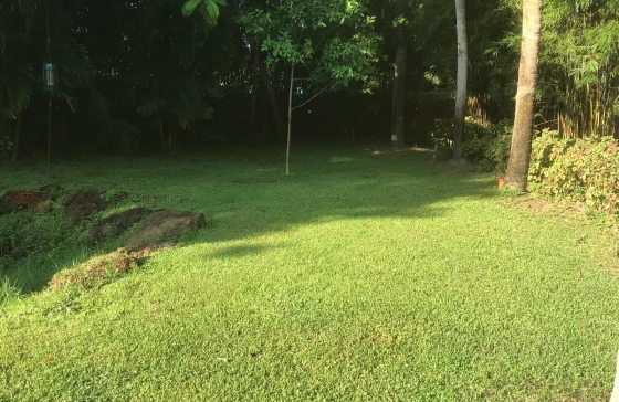 image5