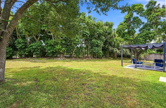 image12