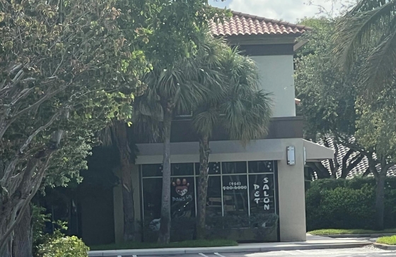 image6