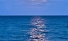 image11