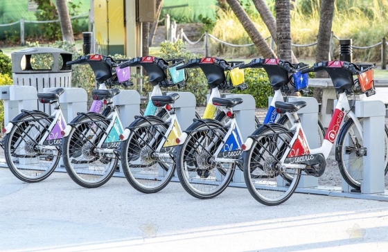 image61
