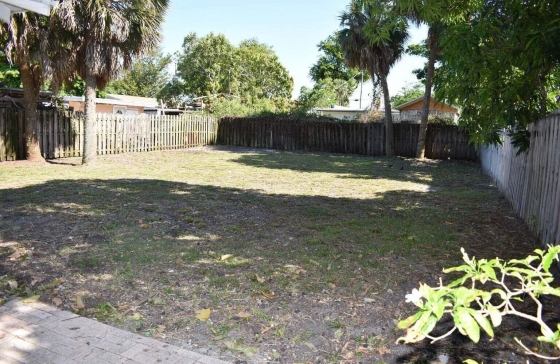 image8
