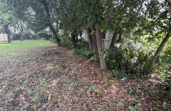 image6