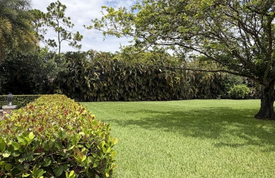 image12