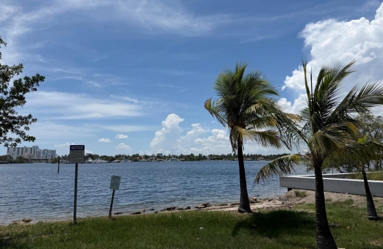 image15