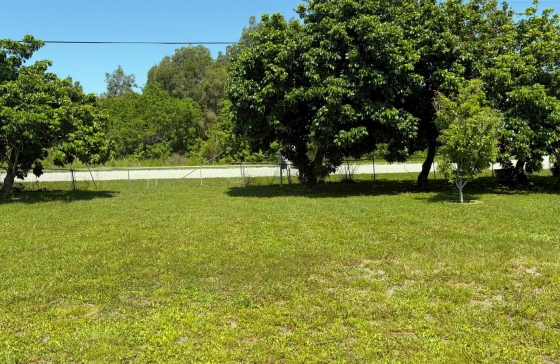 image8