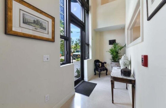 701 S Olive #117